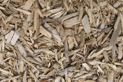 biomass boilers Neston