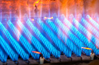 Neston gas fired boilers